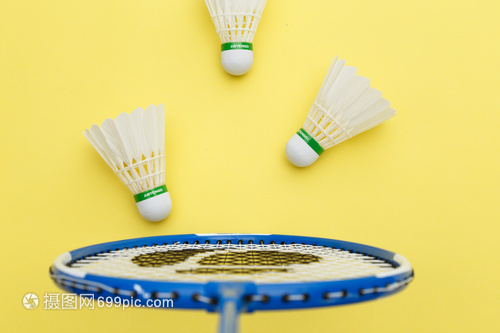 家队的主力 家队的主力